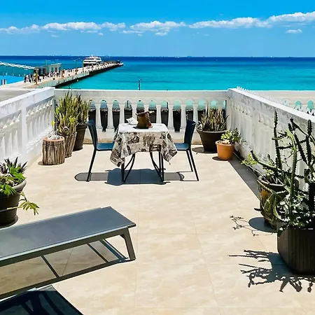 Plaza Marina Condo